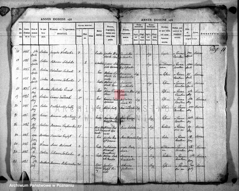 Obraz 12 z jednostki "Duplikat baptisatorum, copulatorum u. mortuorum"