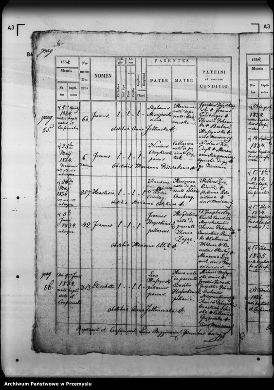 Obraz 10 z jednostki "[Kopie ksiąg metrykalnych parafii Mościska z filiami Lipniki, Rudniki, Zawada (dekanat Mościska)]"