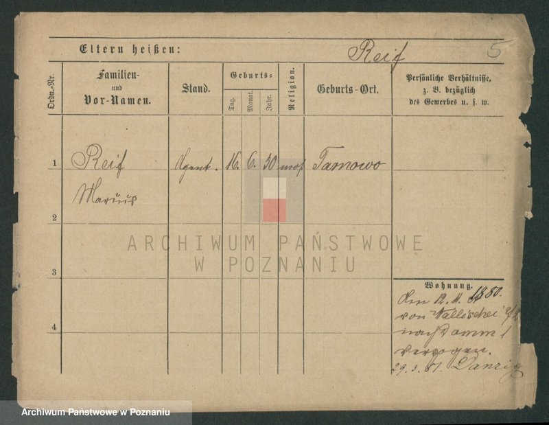 Obraz 7 z jednostki "Rajf - Rajman (Rei...)"