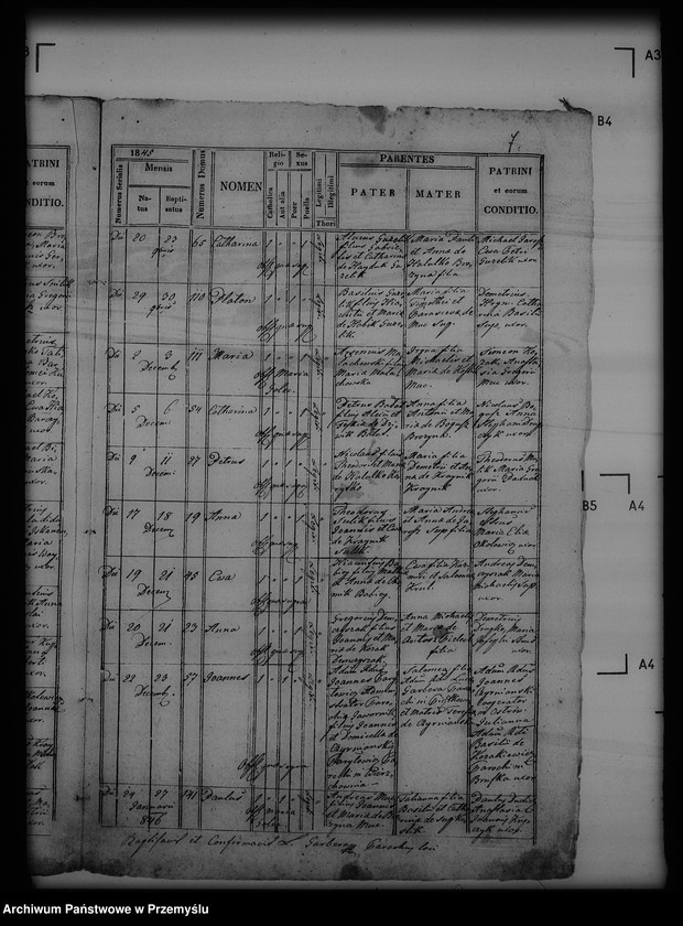 Obraz 11 z jednostki "[Kopie ksiąg metrykalnych parafii Piątkowa Ruska (dekanat Bircza)]"