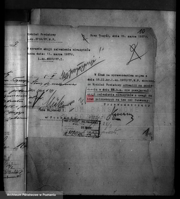 Obraz 15 z jednostki "Zalesienie nieużytków w powiecie nowotomyskim"