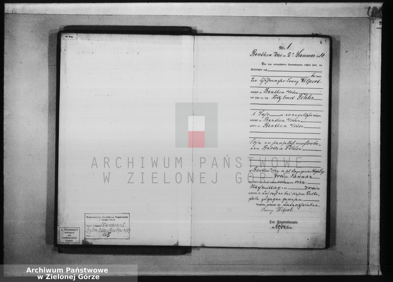 Obraz 5 z jednostki "[Księga aktów zgonów rok 1894 od nr 1 do nr 124]"
