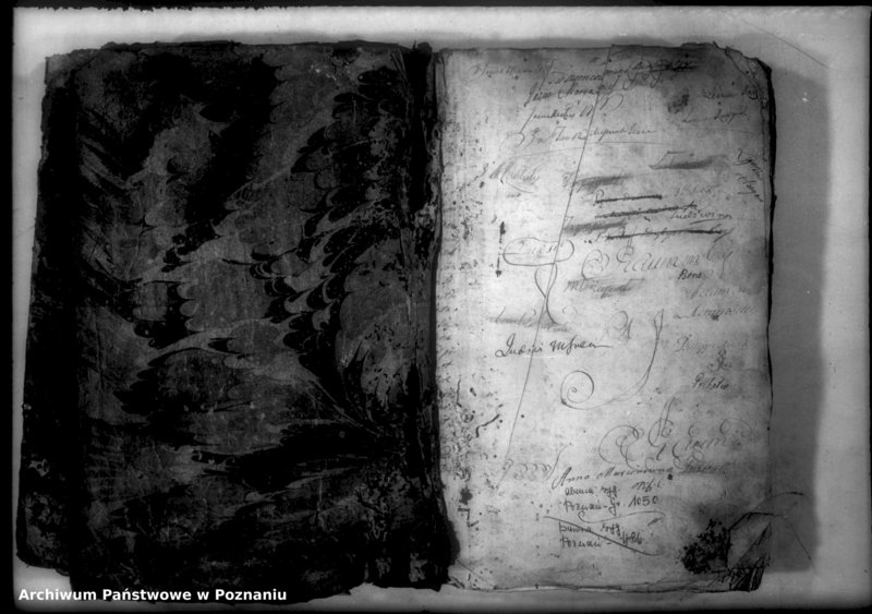 Obraz 3 z jednostki "Relationes [protocollon]"