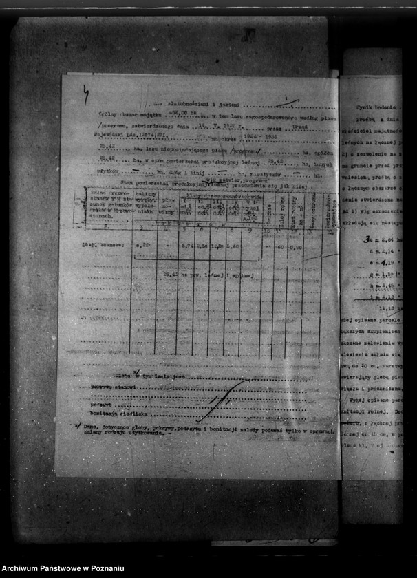 Obraz 8 z jednostki "Las majętności Dzierzanów powiat krotoszyński"