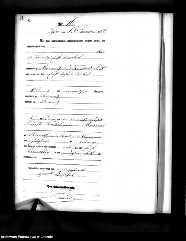 Obraz 17 z jednostki "[Księga zgonów]"