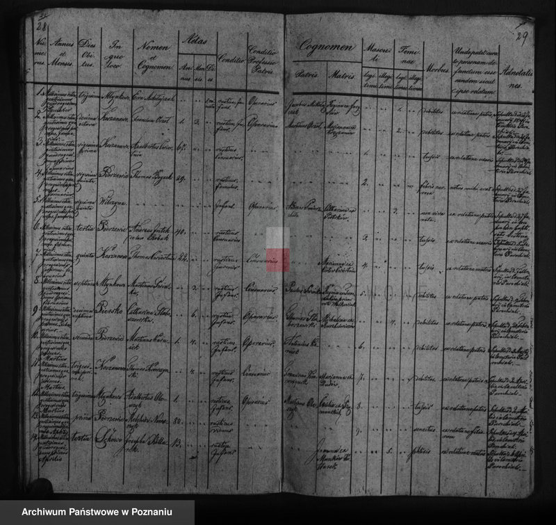 image.from.unit.number "Duplicat baptisatorum, copulatorum, mortuorum"