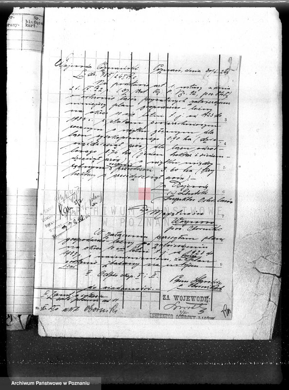 Obraz 6 z jednostki "Nadzór nad gospodarką w lasach majętności Wojnowo powiat obornicki"