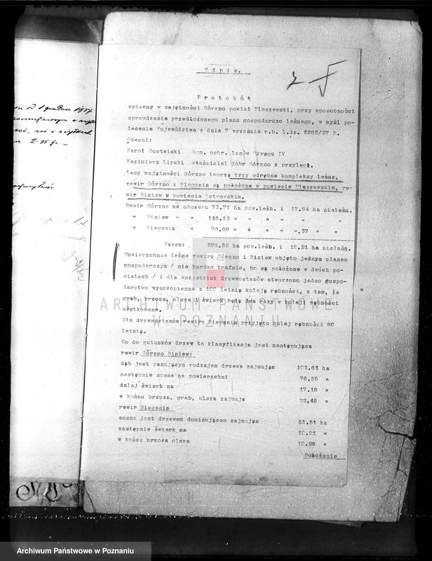 Obraz 11 z jednostki "Nadzór nad gospodarką w lasach majętności Gorzno-Biniew powiat ostrowski"