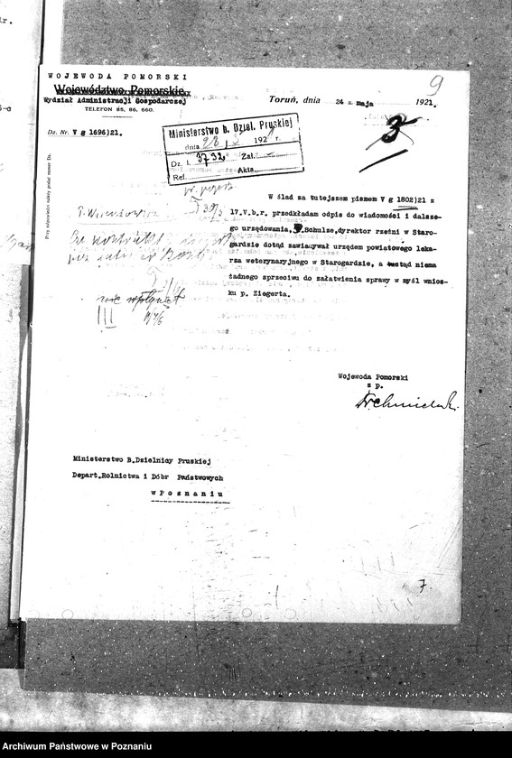 Obraz 13 z jednostki "Pow. lekarz Weterynaryjny Starogard"