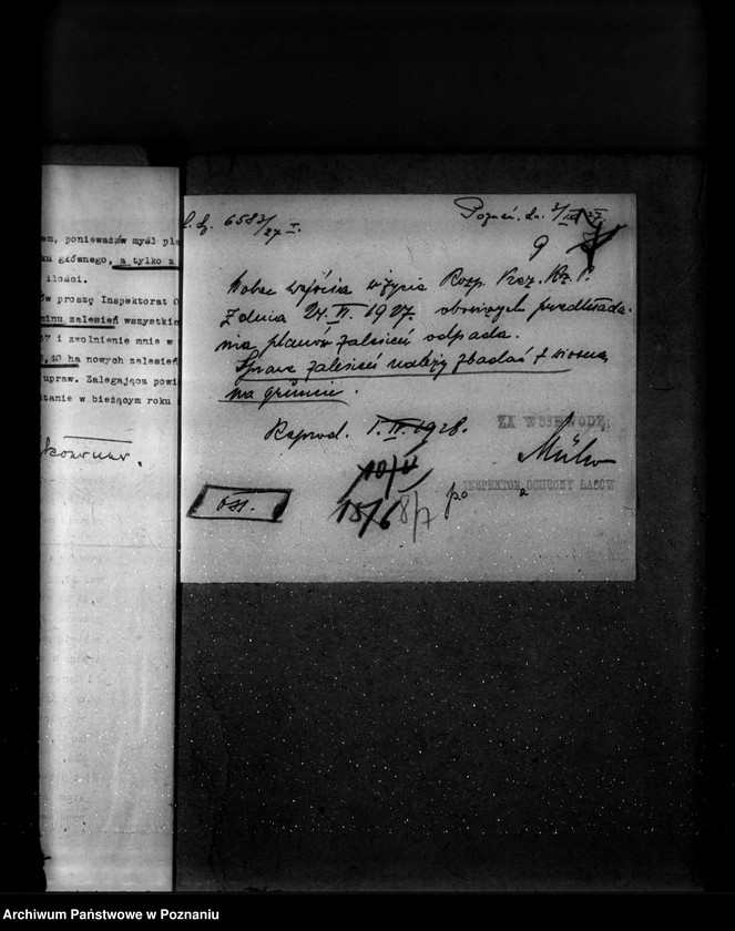 Obraz 13 z jednostki "Majętność leśna Stołężyn powiat wągrowiecki"