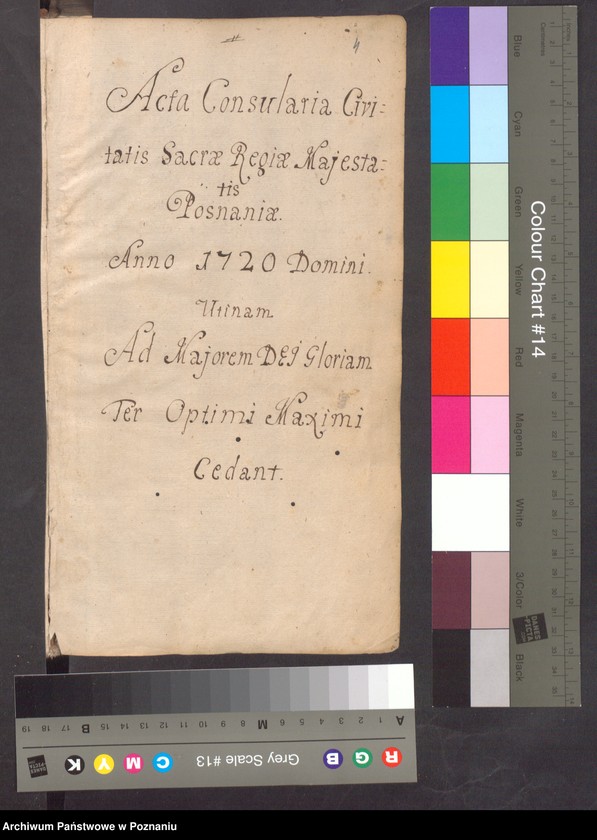 Obraz 4 z jednostki "Acta consularia civitatis SRMtis Posnaniae."