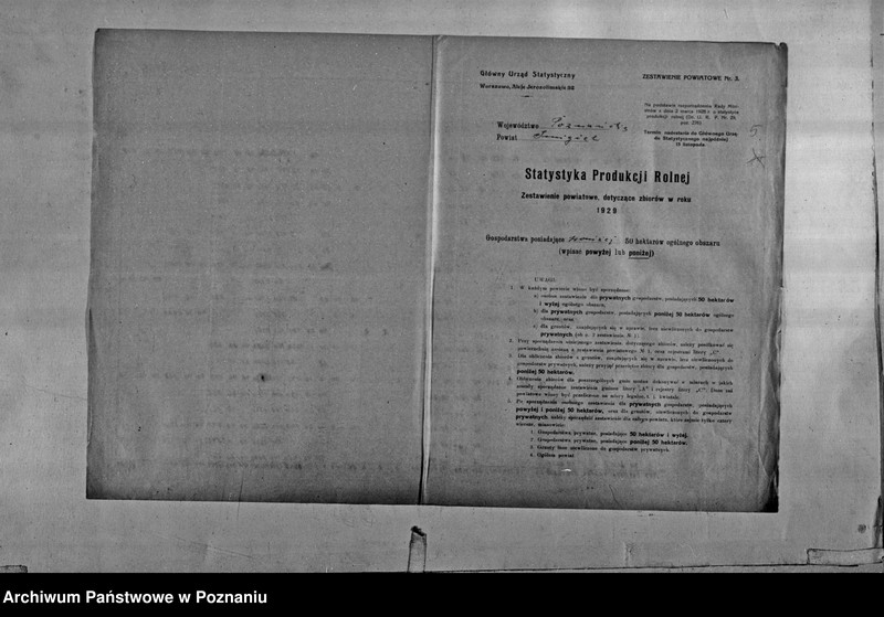 Obraz 7 z jednostki "/Statystyka produkcji rolnej - zestawienie powiatowe - Śmigiel"