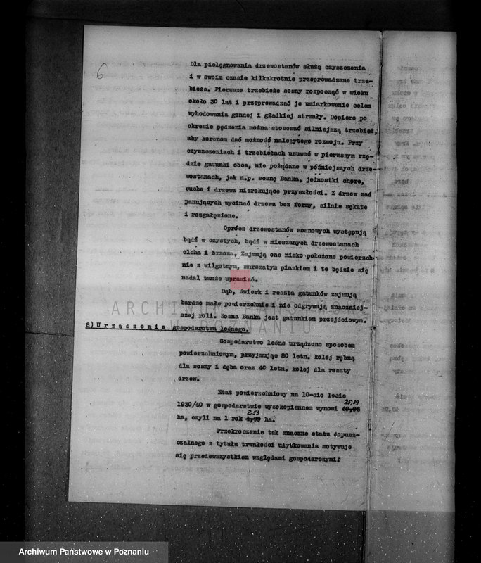 Obraz 10 z jednostki "/Nadzór nad lasami/ majątku Gębice powiatu czarnkowskiego"