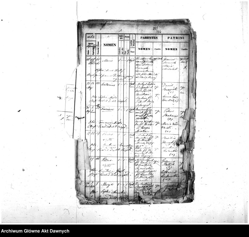 image.from.unit.number "Parafia: różne. Dekanat: różne. Fragmenty akt różnych parafii archidiecezji lwowskiej: 1. Gródek Jagielloński (dek. Gródek) - fragment (prawdopodobnie ekstrakt) księgi urodzeń z lat 1862-1863, 9 s.; 2. Kobylnica/Fehlbach (dek. Lubaczów) - fragment (prawdopodobnie ekstrakt) księgi urodzeń z lat 1901-1904, 1906-1908, 26 s.; 3. Martynów Nowy (dek. Dolina) - fragment księgi zgonów 1871, 1873, 5 s.; 4. Nadwórna (dek. Stanisławów) - fragment księgi urodzeń 1890, 9 s.; 5. Podhajce (dek. Podhajce) - fragment księgi zgonów 1899, 8 s.; 6. Podhorce (dek. Brody) - fragment księgi ślubów 1899-1900, 7 s.; 7. Stanisławów (dek. Stanisławów) - fragment (ekstrakt) księgi zgonów 1876 (pośw. 1877), s. 20; 8. Św. Stanisław (dek. Stanisławów) - fragment (ekstrakt) księgi urodzeń 1929, 2 s.; 9. Tyśmienica (dek. Stanisławów) - fragment księgi zgonów 1876, 2 s.; 10. Załoźce (dek. Brody) - fragment księgi ślubów, lata osiemdziesiąte XIX w., szczątek, 2 s.; 11. Śniatyn (dek. Horodenka) - fragment księgi urodzeń 1882, szczątek 2 s.; 12. Zawałów (dek. Skałat) - fragment (ekstrakt) księgi zgonów 1914, 3 s.; 13. Złotniki (dek. Podhajce) - fragment księgi zgonów 1891, 1 s.."