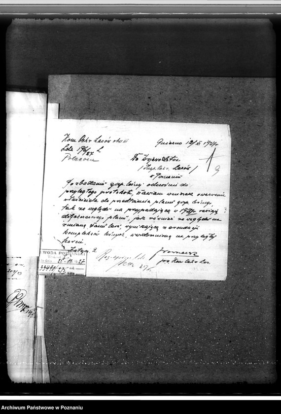 Obraz 13 z jednostki "/Nadzór nad gospodarką leśną/ majętności Zakrzewo powiecie gnieźnieńskim"