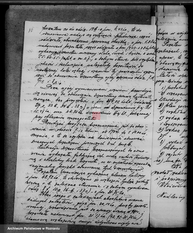 Obraz 15 z jednostki "Lasy majątku Brudzew w powiecie kaliskim"