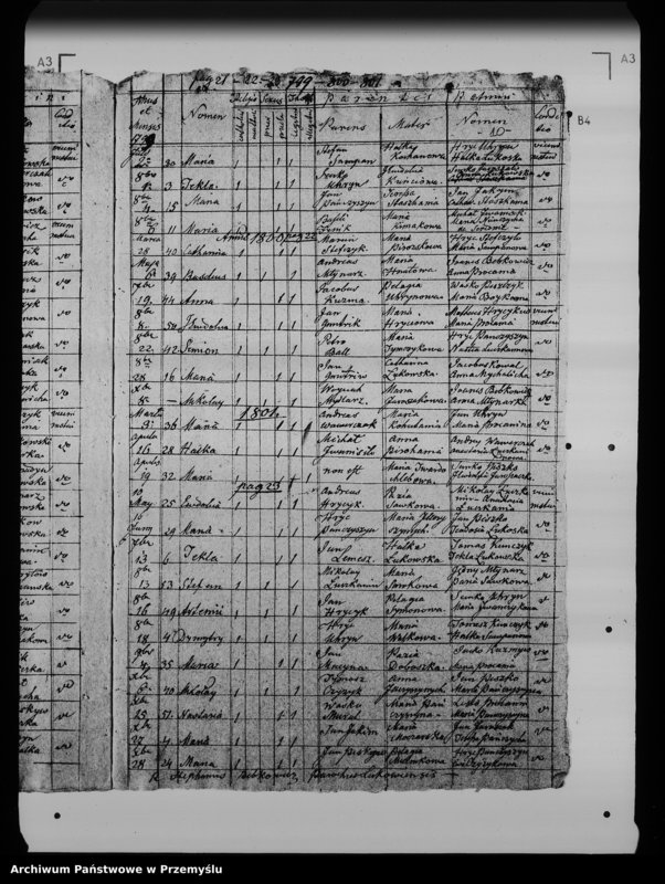 Obraz 14 z jednostki "[Kopie ksiąg metrykalnych parafii Łukowe (dekanat Lesko)]"