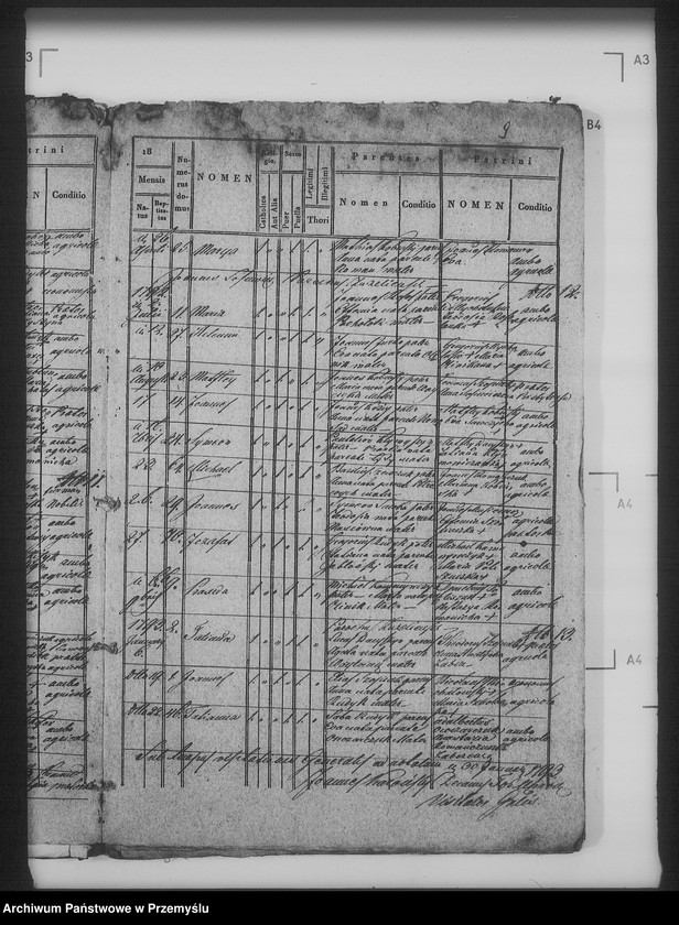 Obraz 14 z jednostki "[Kopie ksiąg metrykalnych parafii Żabcze Murowane z filią Bezejów (dekanat Bełz)]"