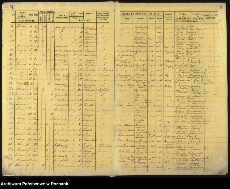 Obraz 5 z jednostki "Księga urodzin"