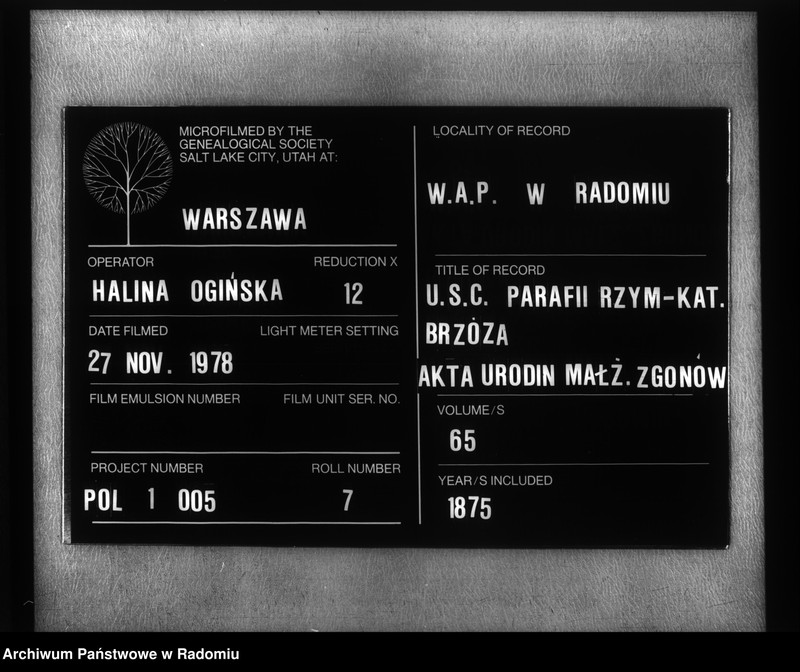 image.from.unit.number "[Duplikat akt urodzonych, zaślubionych i zmarłych parafii Brzóza na 1875 r.]"