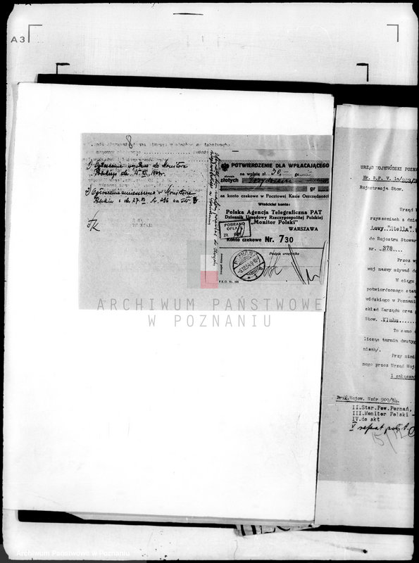 Obraz 12 z jednostki "Klub Sportowy,,Stella" w Żabikowie/"