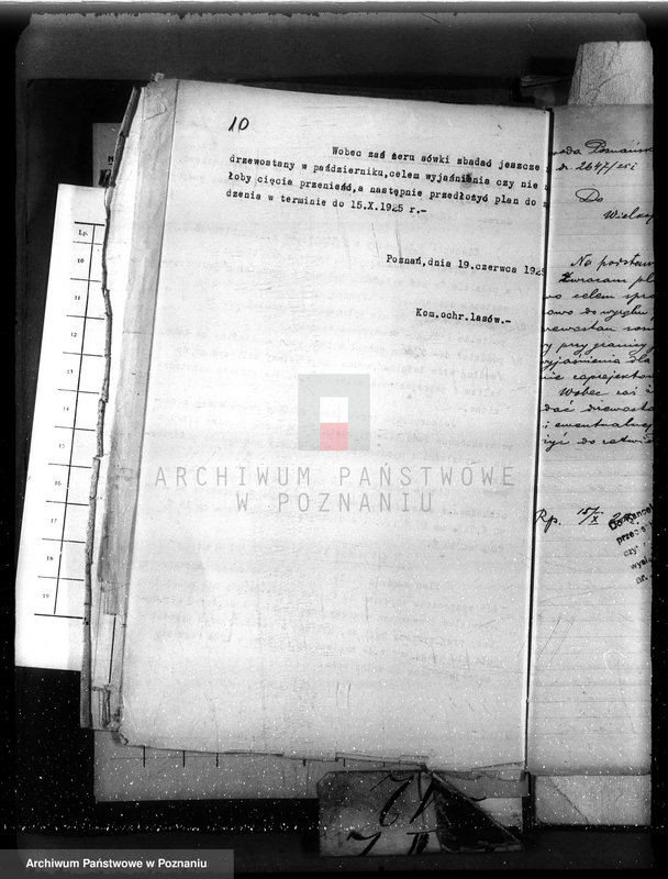 Obraz 16 z jednostki "Nadzór nad gospodarką w lasach majętności Pamiątkowo powiat obornicki"