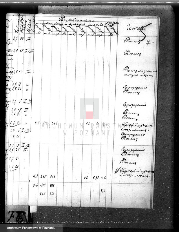 Obraz 11 z jednostki "Nadzór nad gospodarką w lasach majątku Dziadkowo powiecie gnieźnieńskim"