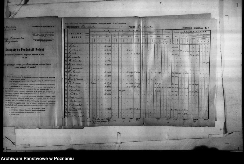 Obraz 12 z jednostki "/Statystyka produkcji rolnej - zestawienie powiatowe - Mogilno/"