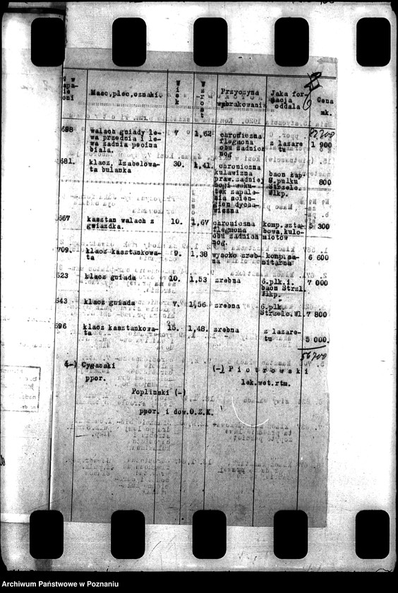 Obraz 10 z jednostki "Konie wojskowe dla ludności cywilnej"