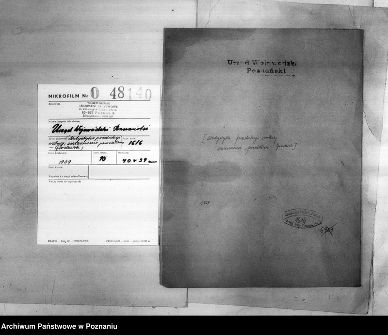 Obraz 2 z jednostki "/Statystyka produkcji rolnej - zestawienie powiatowe - Grodzisk/"