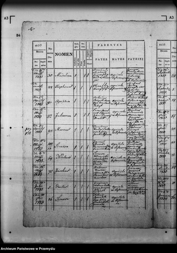 Obraz 10 z jednostki "[Kopie ksiąg metrykalnych parafii Rajtarowice z filiami Rogóźno, Sadkowice (dekanat Mościska)]"