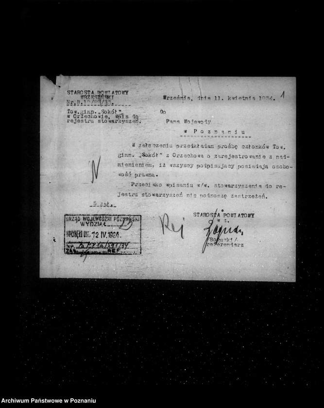 Obraz 6 z jednostki "/Towarzystwo Gimnastyczne „Sokół" w Orzechowie powiat Września - rejestracja/"