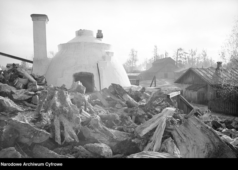 Obraz z zespołu "Archiwum fotograficzne Henryka Poddębskiego"