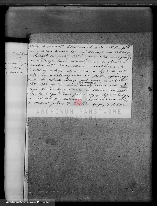 Obraz 10 z jednostki "Zmiana rodzaju użytkowania 40 ha gruntów leśnych w majątku Brańczyn w powiecie kaliskim"