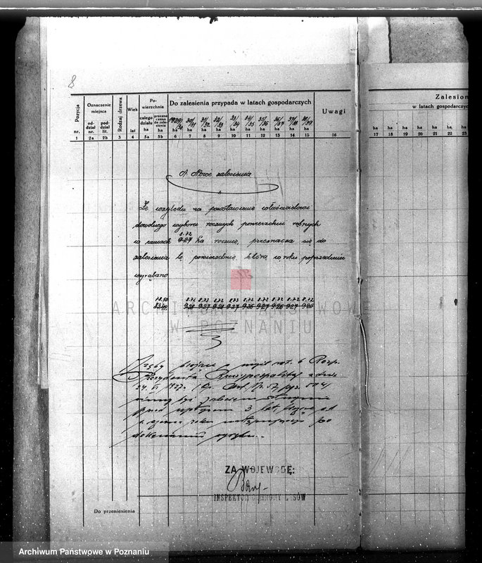 Obraz 13 z jednostki "Nadzór nad gospodarką leśną majątku Sławno powiat czarnkowskim"