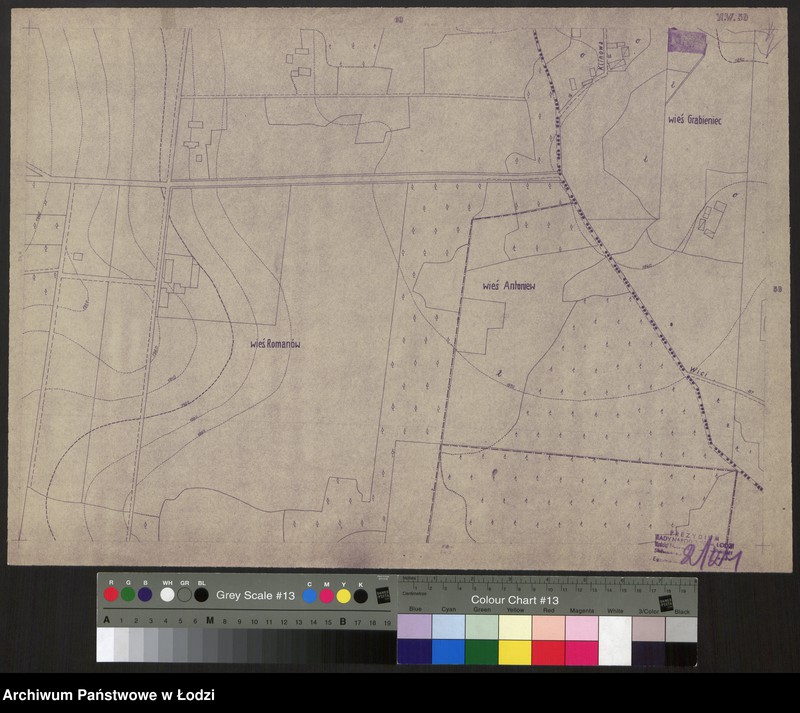 Obraz 1 z jednostki "Plan m. Łodzi 1:2000, odbitka. Sekcja NW59"