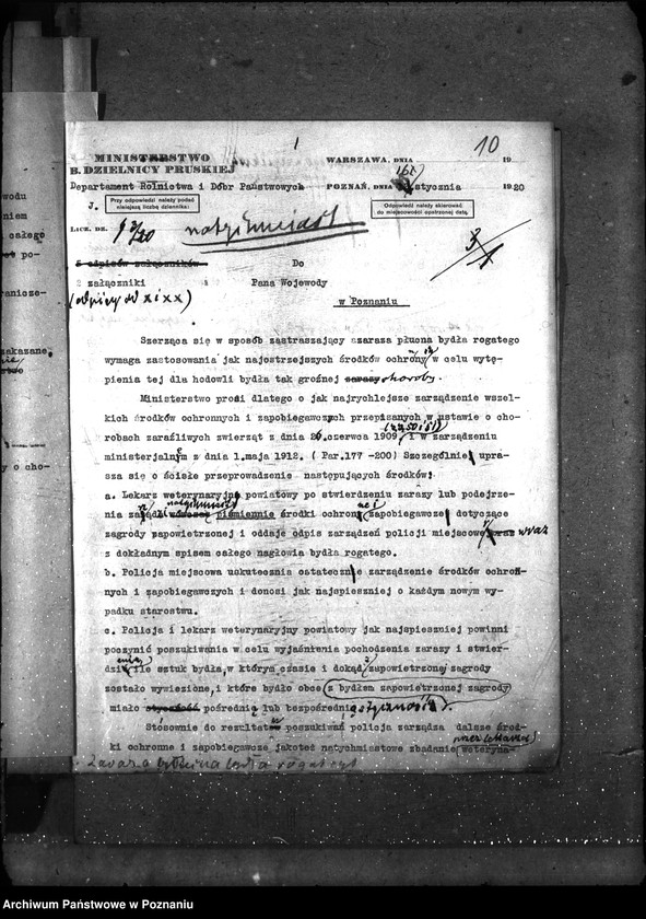 Obraz 14 z jednostki "Sprawy ogólne Wykazy chorób zaraźliwych; [księgosusz, zaraza płucna]"