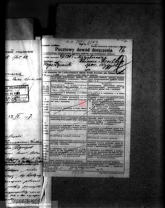 Obraz 20 z jednostki "Majętność leśna Komorowo powiat wyrzyski"