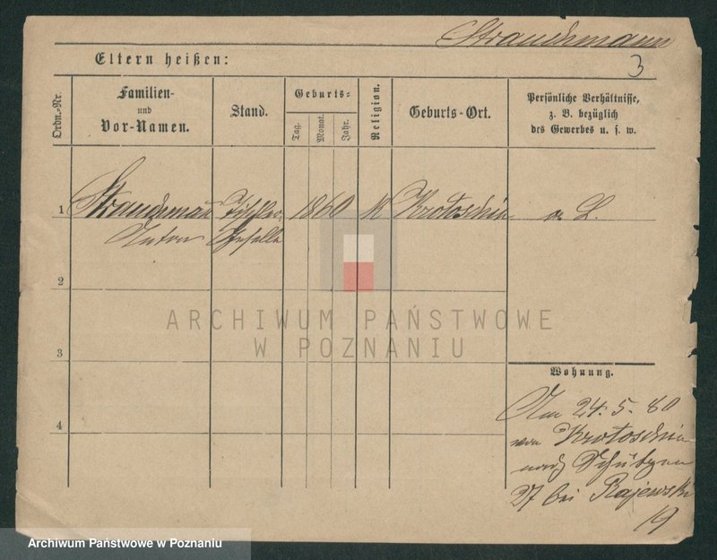 Obraz 8 z jednostki "Strauchman - Striwy (Strü...)"