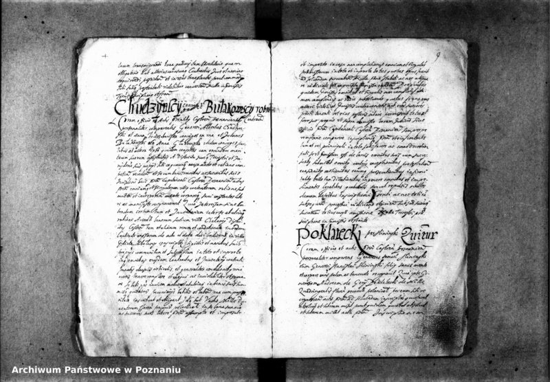 Obraz 11 z jednostki "Inscriptiones [inducta]"