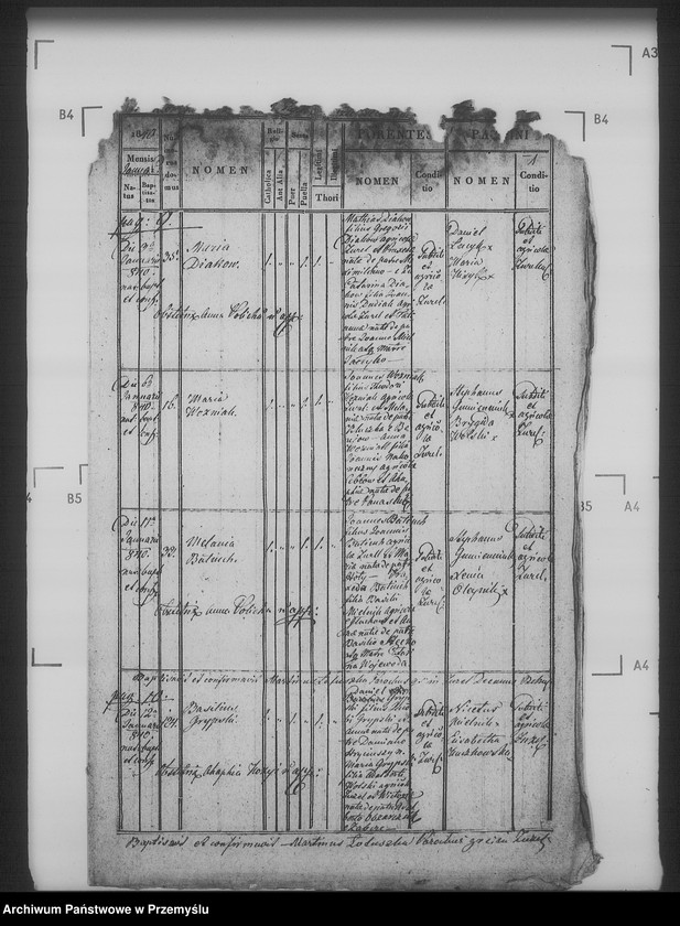 Obraz 5 z jednostki "[Kopie ksiąg metrykalnych parafii Żużel z filią Cebłów (dekanat Bełz)]"
