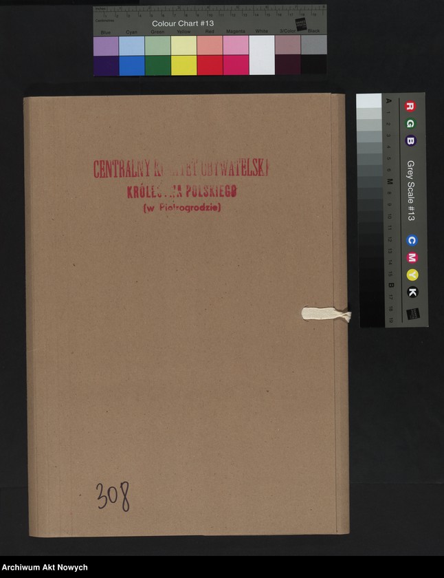 image.from.unit.number "Nowogrodzka gubernia. Spis wygnańców znajdujących się pod opieką CKO w Bołogoje i w Borowiczach."