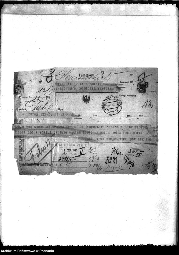 Obraz 16 z jednostki "Zaraza płucna - Odolanów"