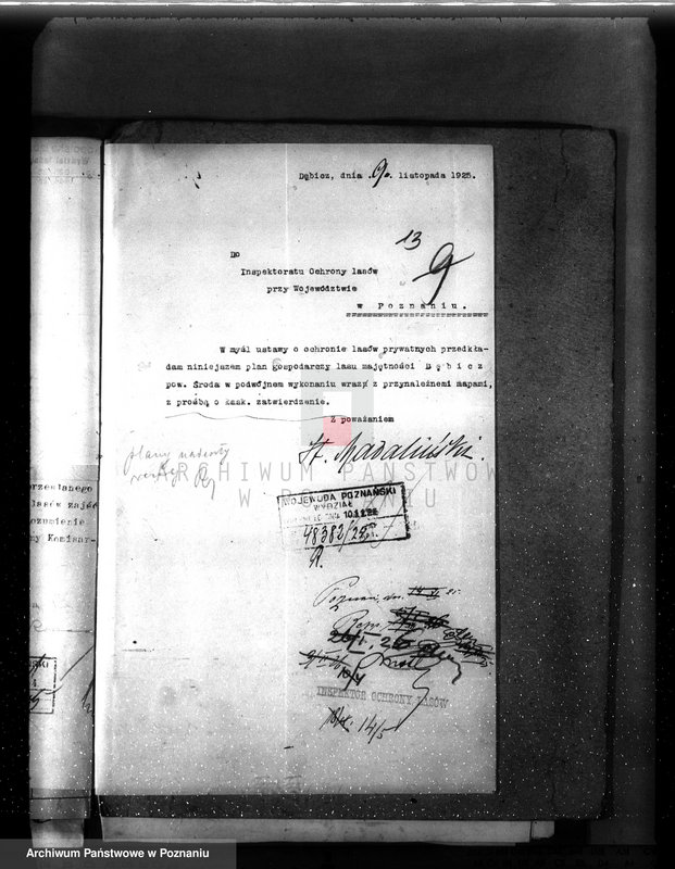 Obraz 17 z jednostki "Nadzór nad gospodarką w lasach majętności Dębicz powiat średzki"