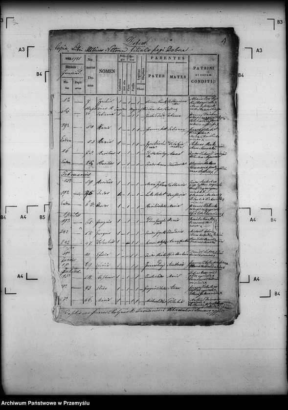 image.from.unit.number "[Kopie ksiąg metrykalnych parafii Dobra z filiami Dobcza, Ścieżki Czerwonowolskie (dekanat Jarosław)]"