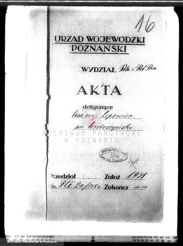 Obraz 4 z jednostki "Las majątku Lipowiec powiat krotoszyński"