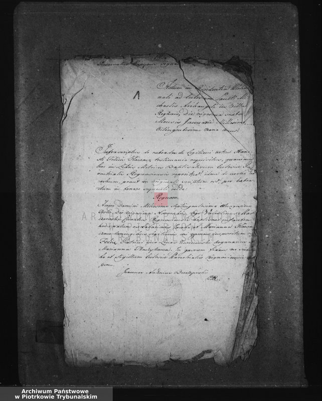 Obraz 5 z jednostki "[Dowody do akt małżeństw]"