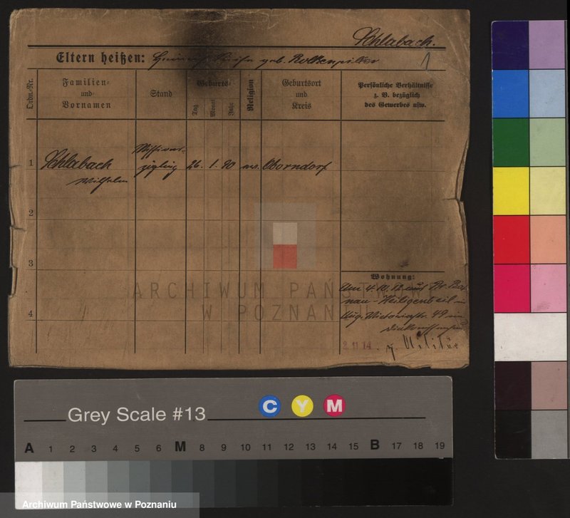 Obraz 5 z jednostki "Szlabic - Szlechta"