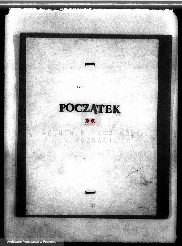 Obraz 3 z jednostki "Las majątku Borowy Młyn powiat międzychodzki"