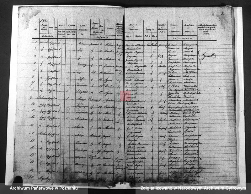 image.from.unit.number "Duplicatus baptisatorum, copulatorum, mortuorum"